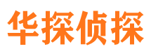 兴平侦探调查公司